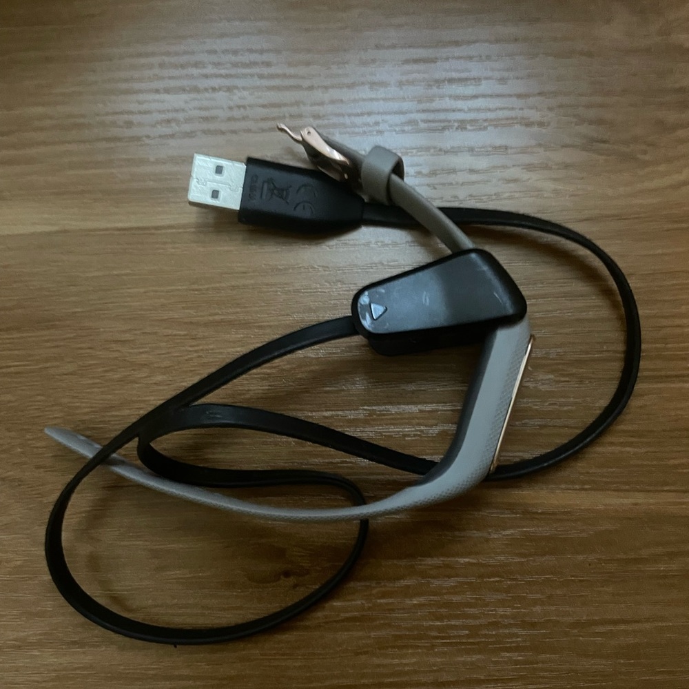 Garmin vivosmart 4 Activity Tracker